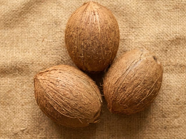 Commercial wholesale mature coconuts at Ramnad Agro godown
