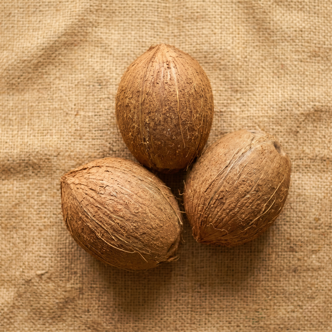 Coconut