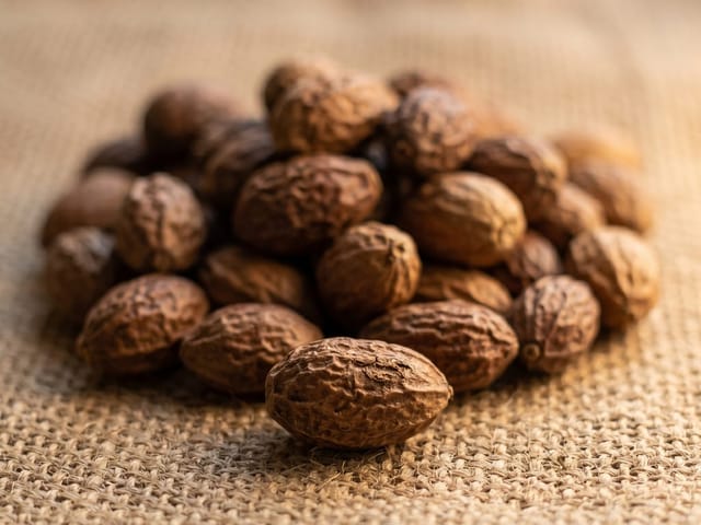 Dry neem seeds wholesale for cold-press oil extraction Ramanathapuram